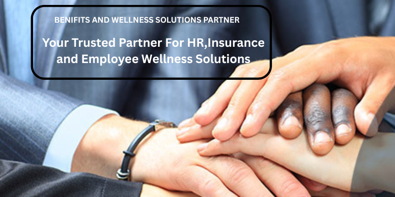 untitled (800 x 400 px) (3)